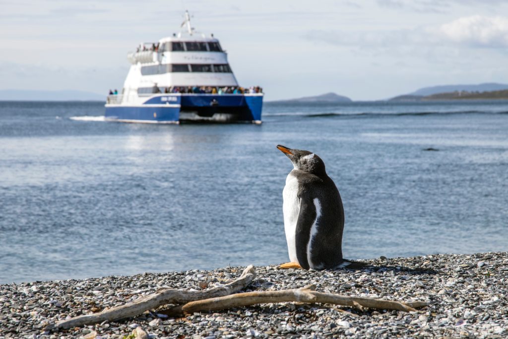 catamara ushuaia - blend travel